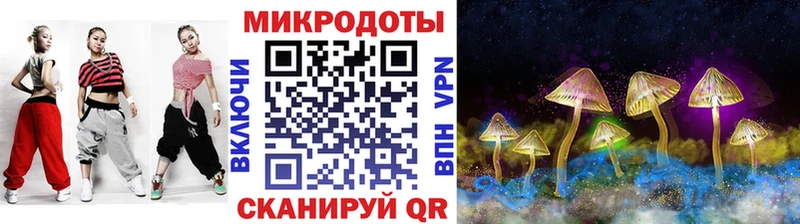 продажа наркотиков  Кинель  Галлюциногенные грибы Cubensis 
